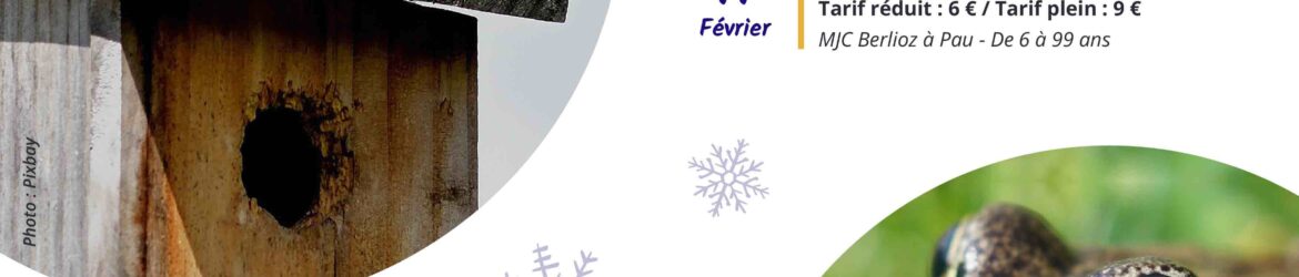 Affiche-Prog-Sortie-Nature-2025-FINAL-V2